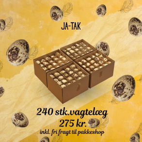 Ja tak vagtel�g 240 stk �gte + fri fragt