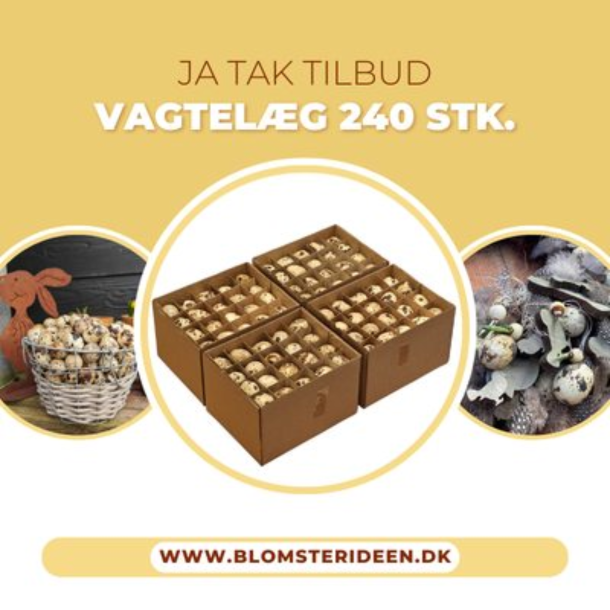Ja tak vagtel�g 240 stk �gte + fri fragt
