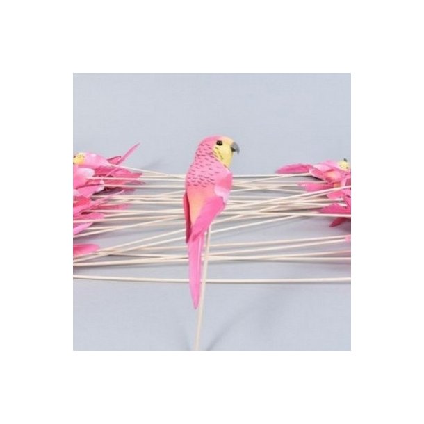 Papeg�je pink p� pind