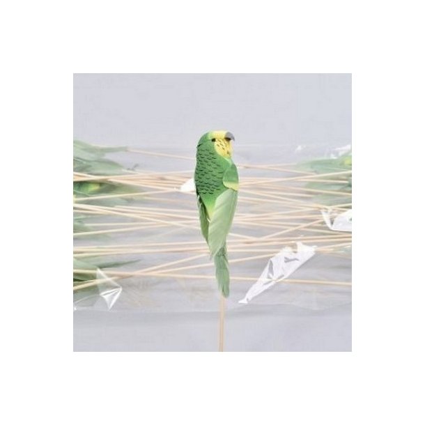 Papeg�je p� pind gr�n