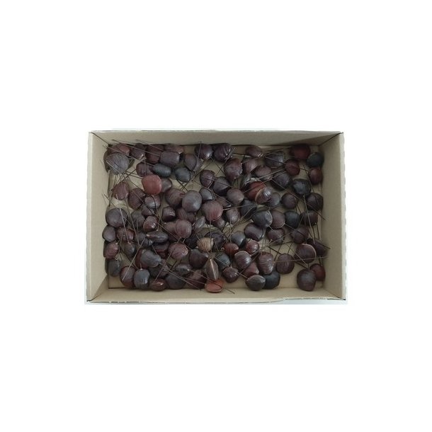 Buiucu beans p� tr�d 100 stk