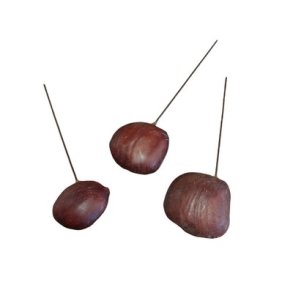 Buiucu beans p� tr�d pr stk