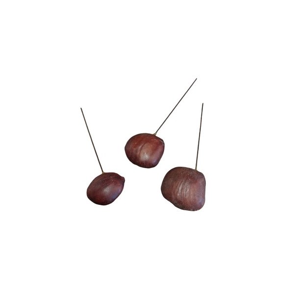 Buiucu beans p� tr�d pr stk