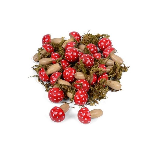 Tr� svampe lakeret 6 ass.