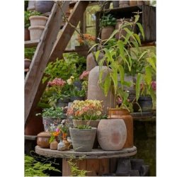 Lerkrukke Kate 46 cm