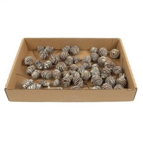 Platyspernum Kogler p� tr�d hvidvasket 50 stk 2,5-3 cm