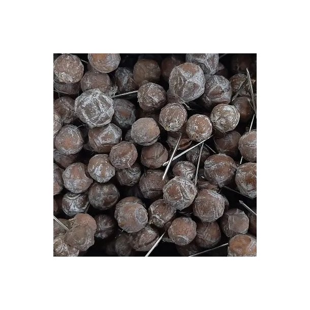 Estrelinia p� tr�d 125 stk. hvidvasket