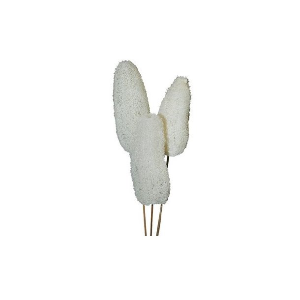 Luffa frosted hvid p� pind