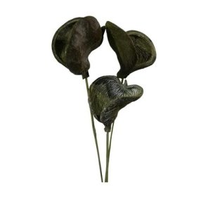 Badam p� pind kiwi