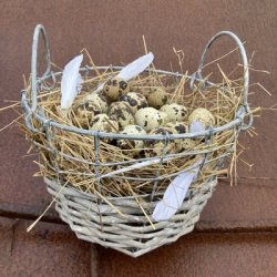 Kurv i zink og willow