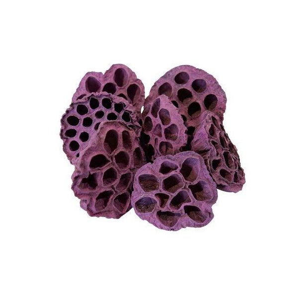 Lotus enkelt 6-8 cm bromb�r.