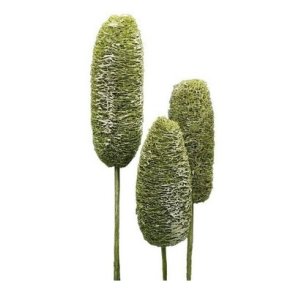 Luffa frosted kiwi p� pind