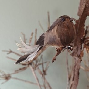 Fugl med klemme Gr�