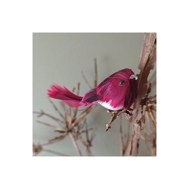 Fugl med klemme Kirseb�r