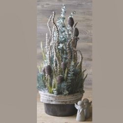 Platyspernum Kogler p� stilk frossent