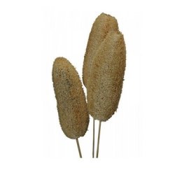 Luffa natur p� pind