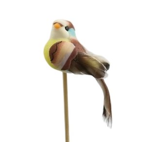 Fugl gul brunlig  p� pind