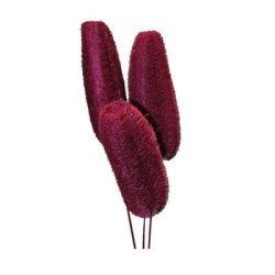 Luffa frosted bromb�r p� pind