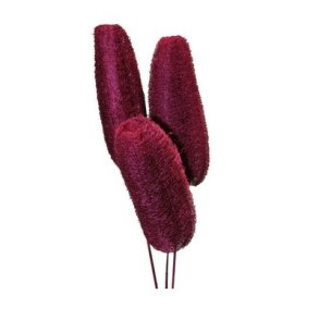 Luffa frosted bromb�r p� pind