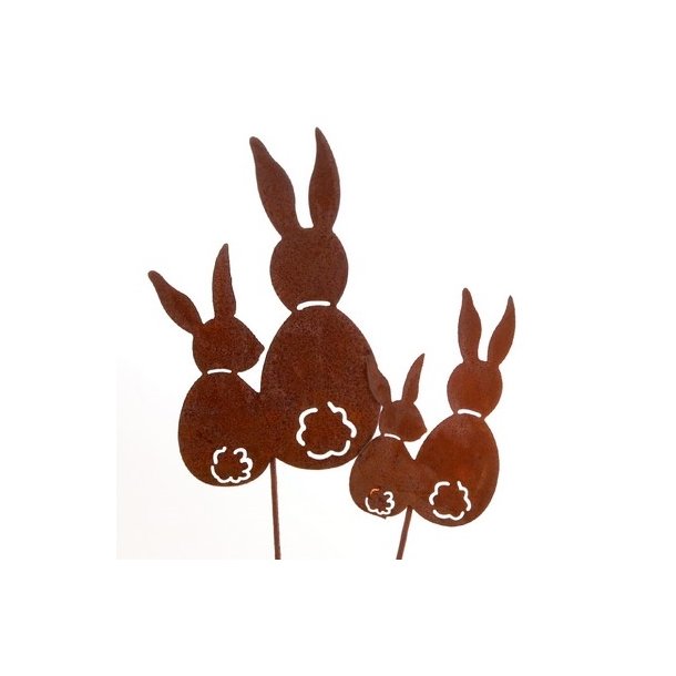 Hare par p� pind rust