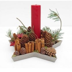 Bio stjerne fad 36 cm gr�