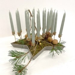 Bio stjerne fad 36 cm gr�