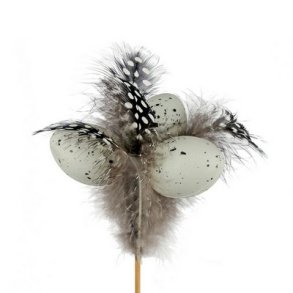 Stick �g med plettet fjer