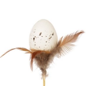 Stick �g med brune fjer