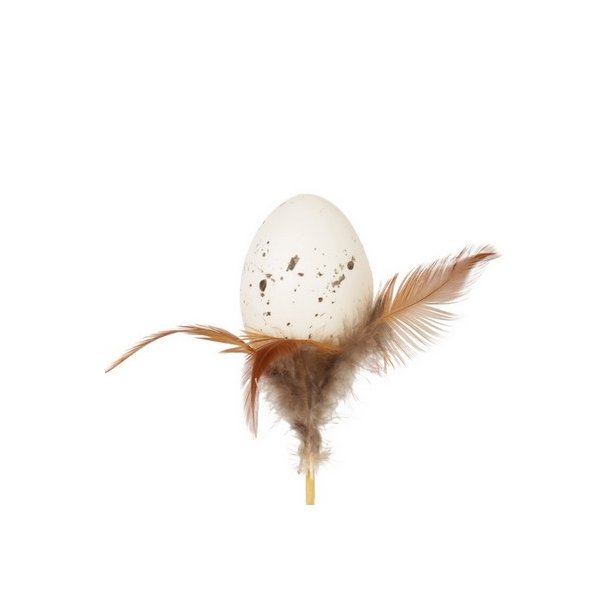 Stick �g med brune fjer