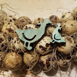 Tr� G�s Turkis ass.