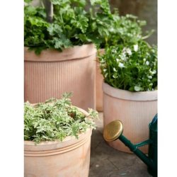 Vandkande Anika - Oliven gr�n 4 l.