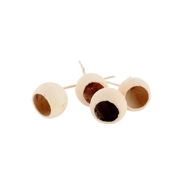 Bellgums Blegede � ca. 20 cm