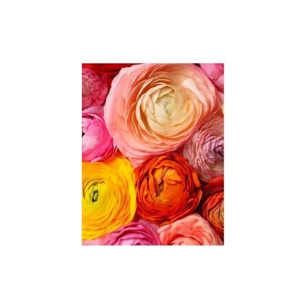 Kort med blomstermotiv nr 11 inklusiv kuvert.