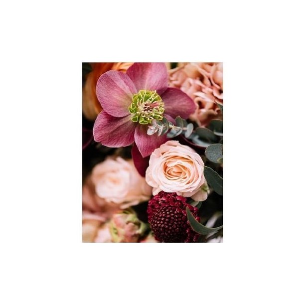 Kort med blomstermotiv nr 15 inklusiv kuvert.