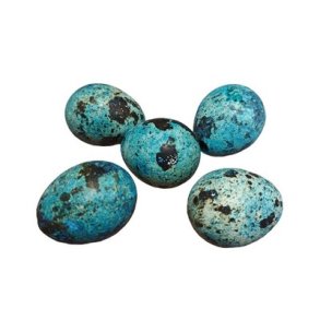 Vagtel�g bl� 5 stk