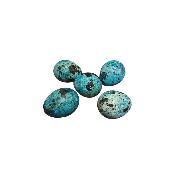 Vagtel�g bl� 5 stk