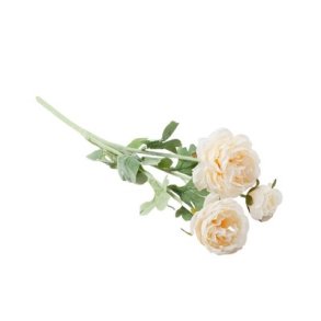 Ranunkel creme 50 cm