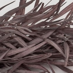 Bambus gren m�rk rosa 