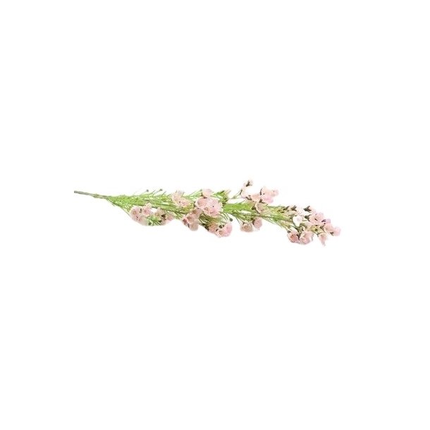 Voksblomster lyser�d 68 cm