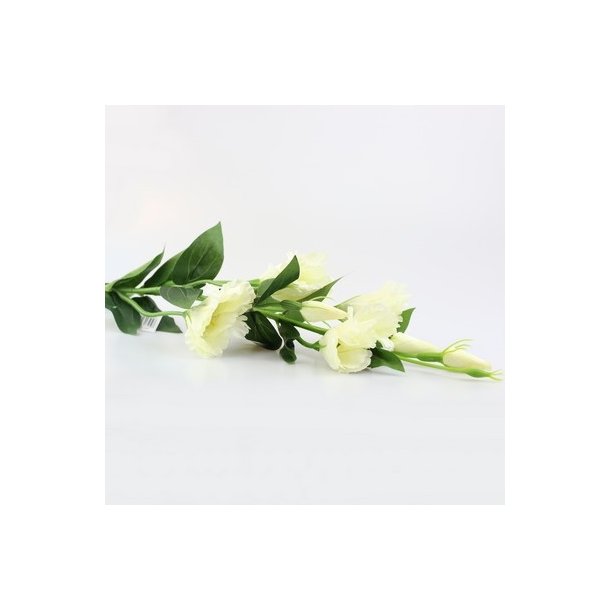 Lisianthus hvid 82 cm