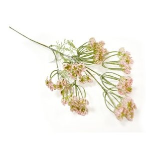 Dild i blomst lyser�d