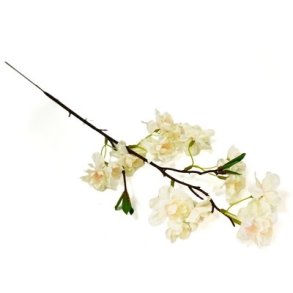 Kirseb�r hvid/pink 50 cm