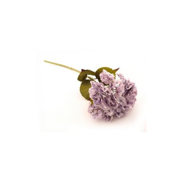 Hortensia lilla 80 cm
