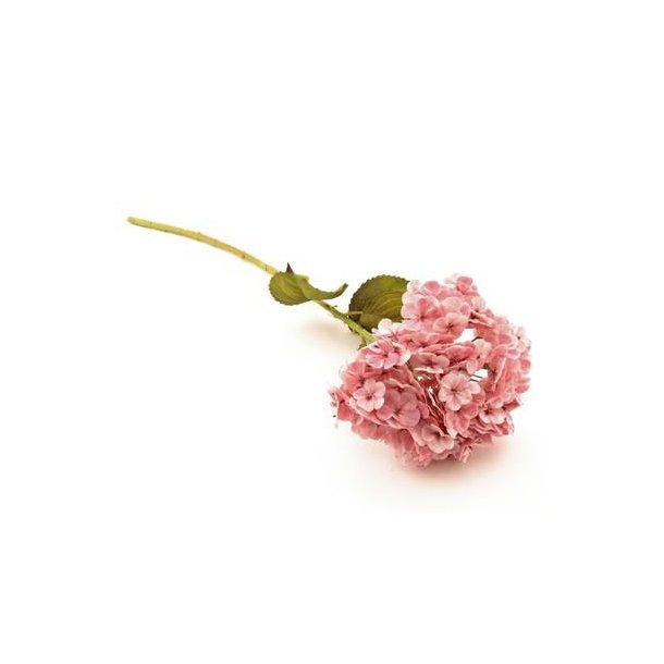 Hortensia pink 80 cm