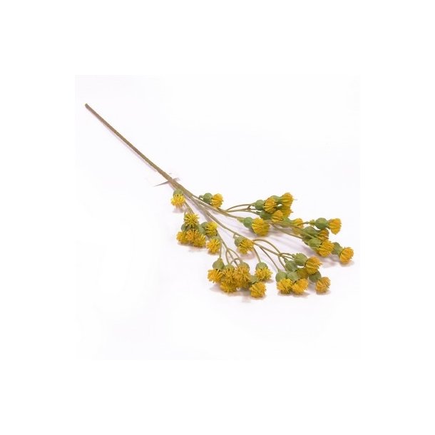 Blomstergren gul