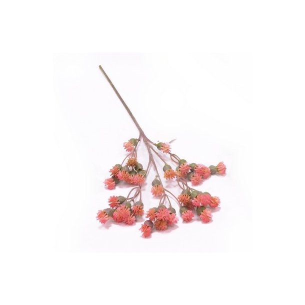 Blomstergren lyser�d