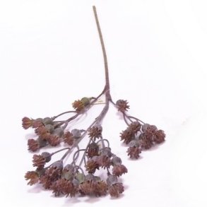 Blomstergren st�vet lilla