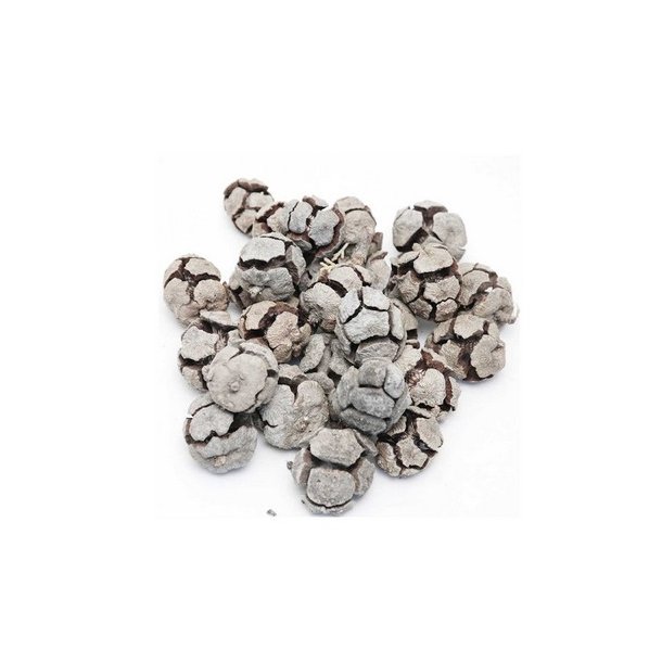 Cypres Kogle hvidvasket 1 kg.