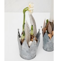 Deco �g creme 2.5 cm