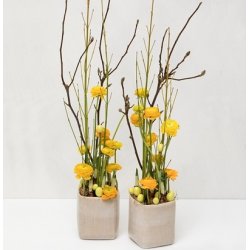 Deco �g creme 2.5 cm